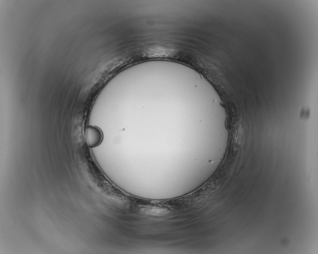 X0000112870743200909111532