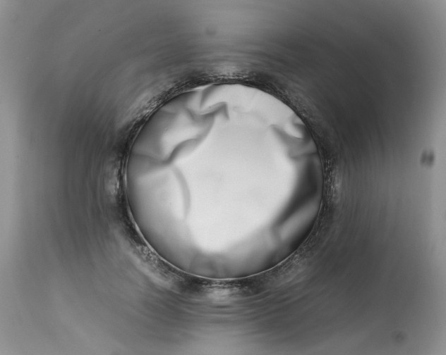 X0000112870746200909111532