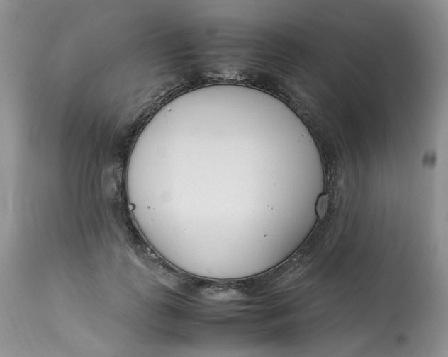 X0000112870747200909111532