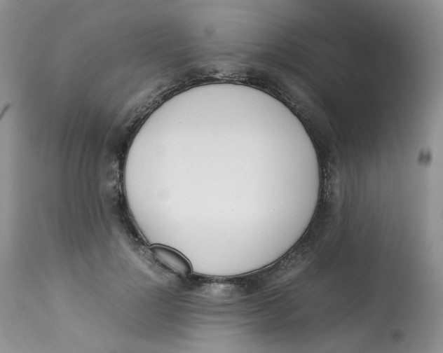 X0000112870748200909111532