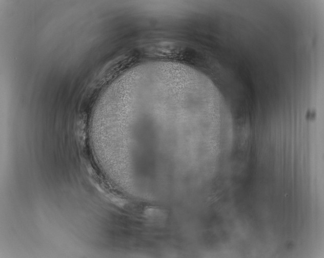 X0000112870749200909111532