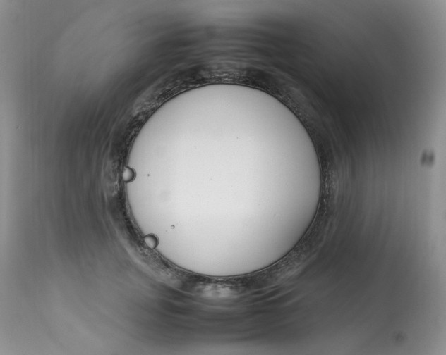 X0000112870751200909111532