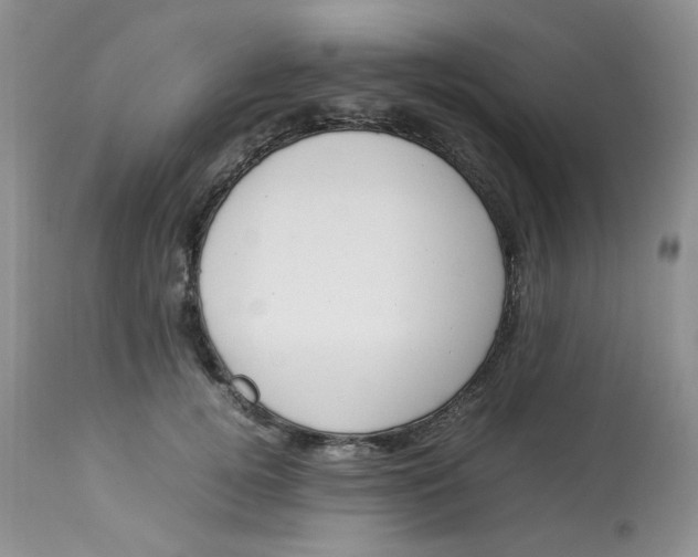 X0000112870752200909111532