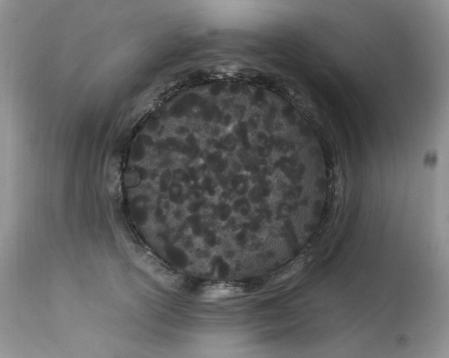 X0000112870754200909111532