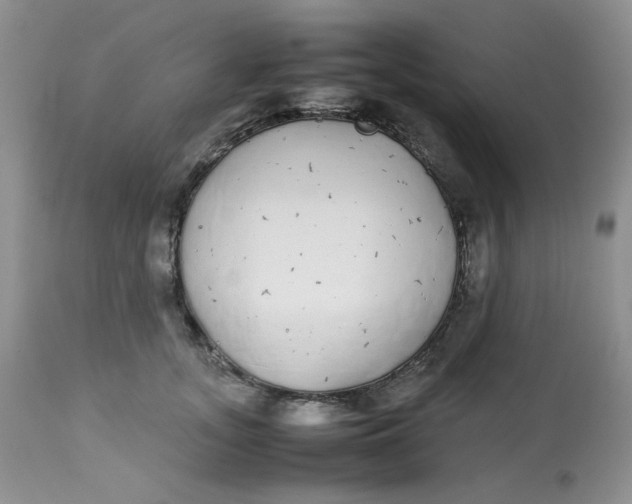 X0000112870755200909111532