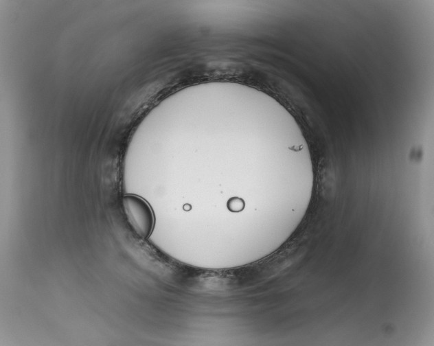 X0000112870756200909111532