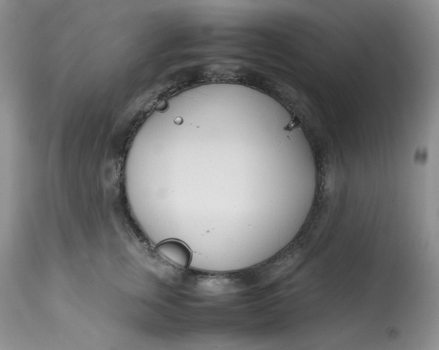 X0000112870759200909111532