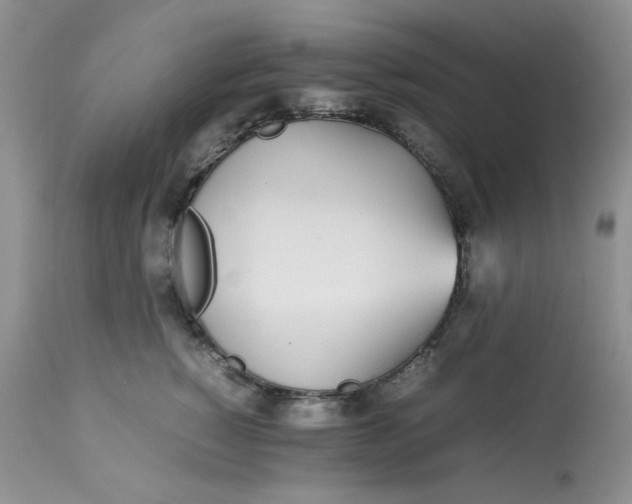 X0000112870760200909111532