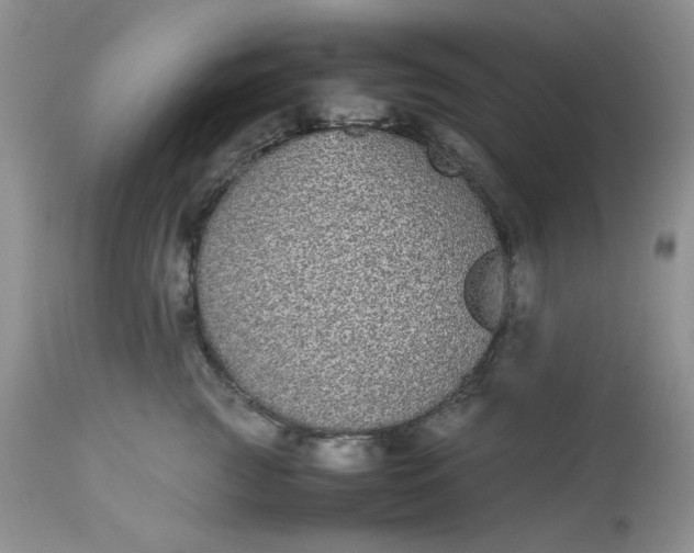 X0000112870761200909111532