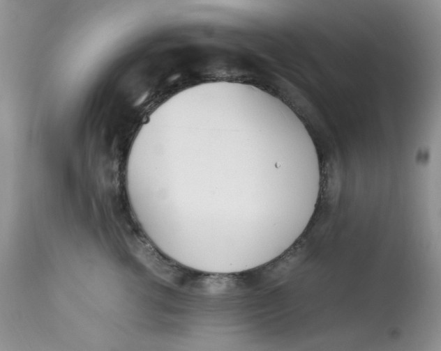 X0000112870762200909111532