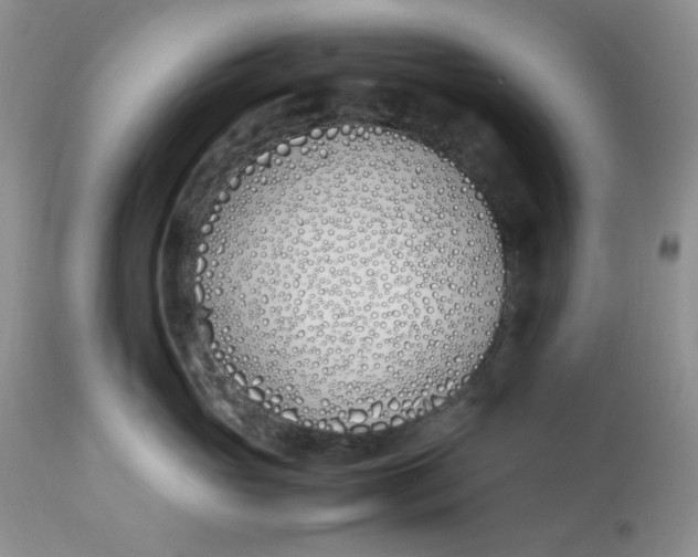 X0000112870765200909111532