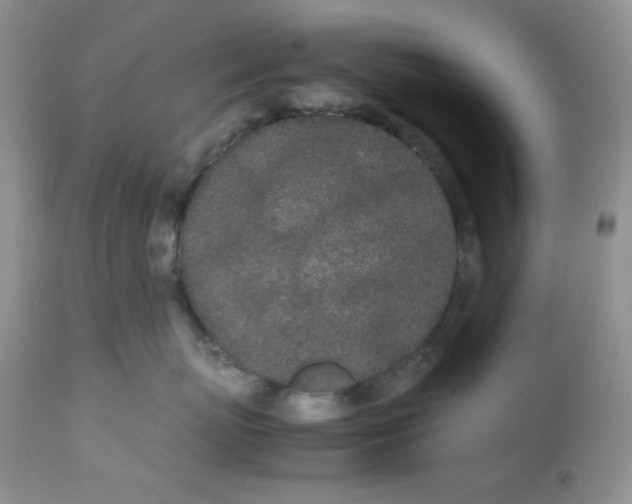 X0000112870767200909111532