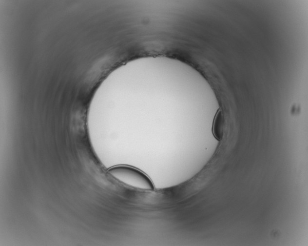 X0000112870768200909111532