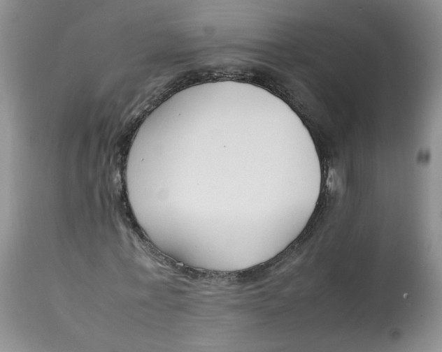 X0000112870771200909111532