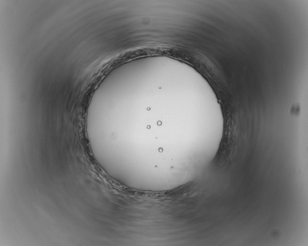 X0000112870773200909111532