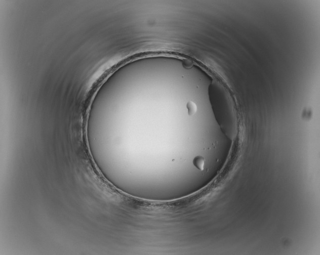 X0000112870781200909111531