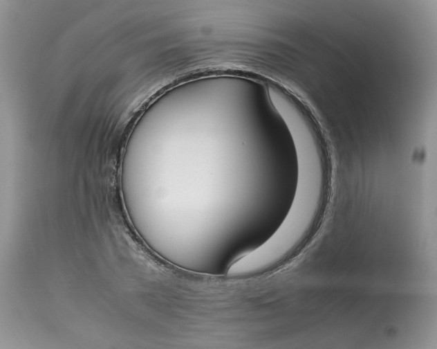 X0000112870785200909111531