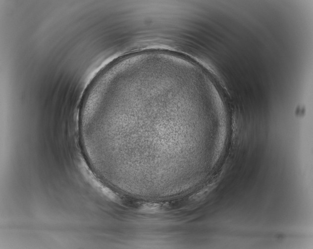 X0000112870790200909111531