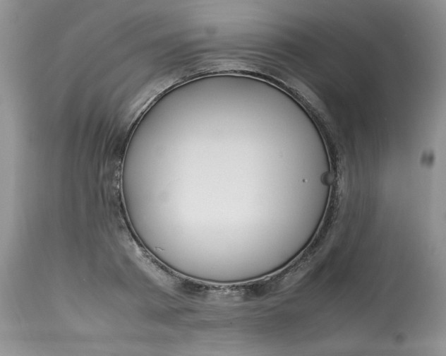 X0000112870793200909111531