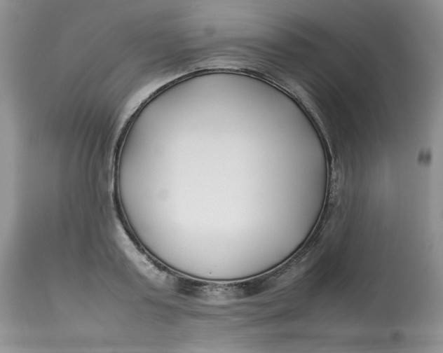 X0000112870795200909111531