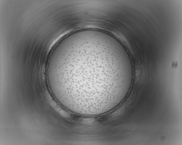 X0000112870798200909111531