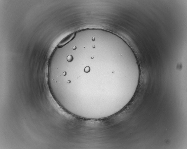 X0000112870804200909111531