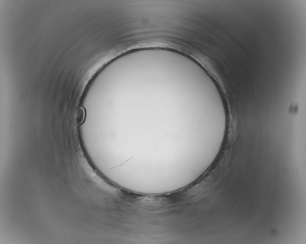 X0000112870805200909111531