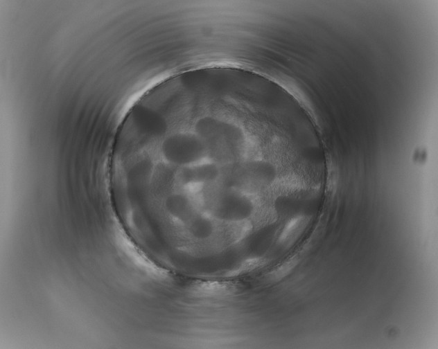 X0000112870806200909111531