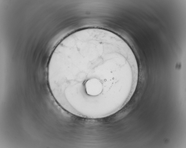 X0000112870807200909111531