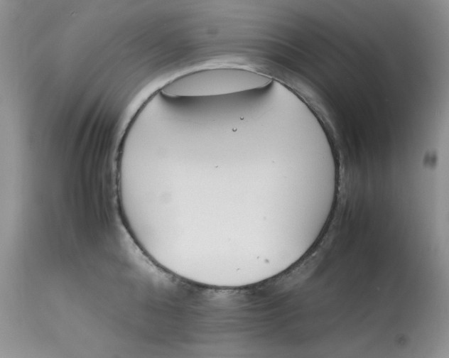 X0000112870808200909111531