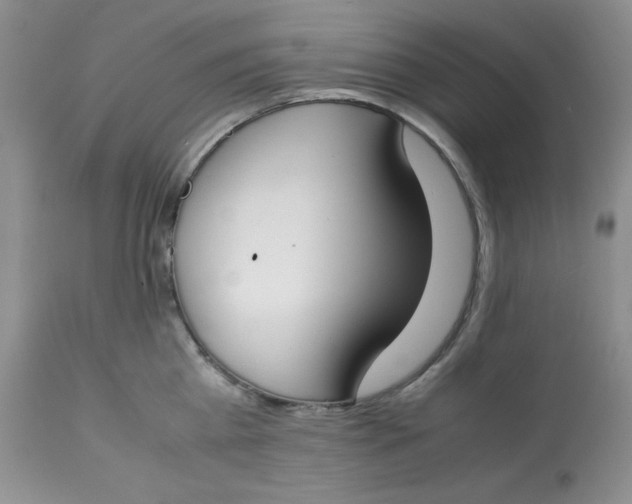 X0000112870809200909111531