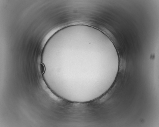 X0000112870812200909111531