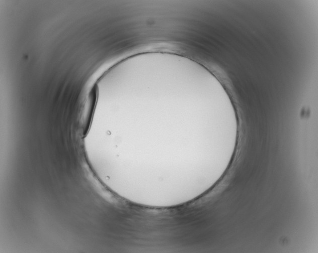 X0000112870816200909111531