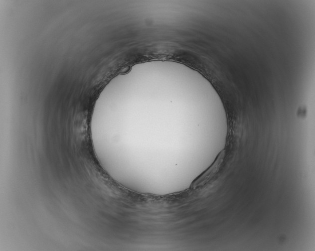 X0000112870818200909111530