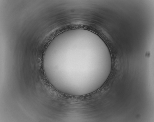 X0000112870821200909111530