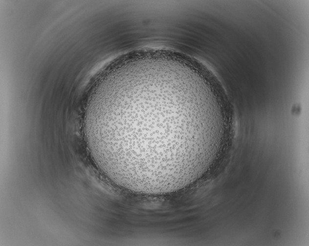 X0000112870823200909111530