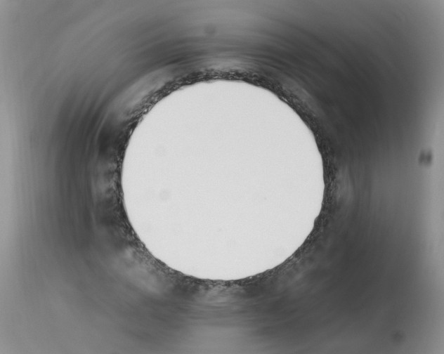 X0000112870824200909111530