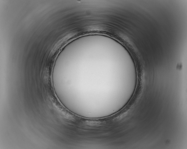 X0000112870825200909111530