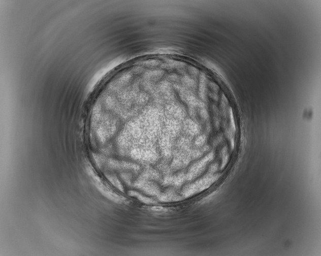 X0000112870827200909111530