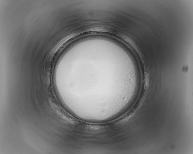 X0000112870829200909111530