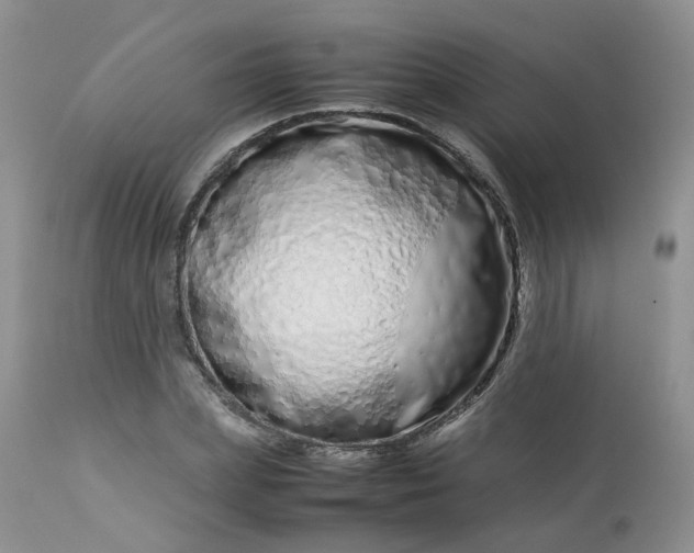 X0000112870831200909111530