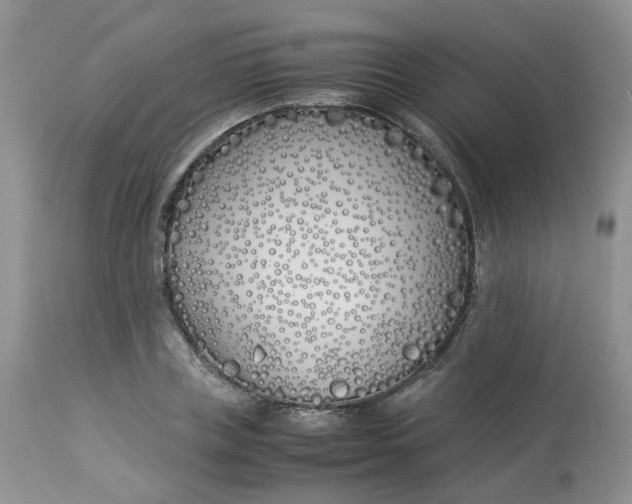 X0000112870835200909111531