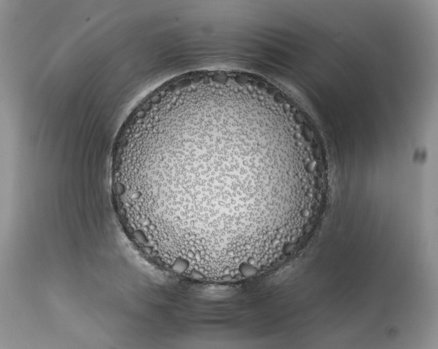 X0000112870839200909111531