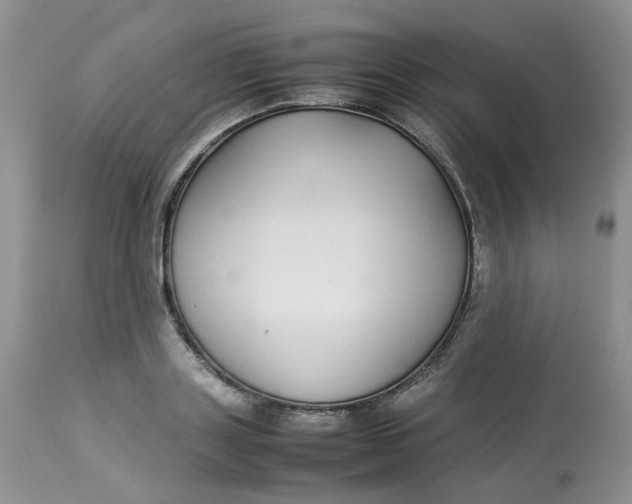 X0000112870843200909111531