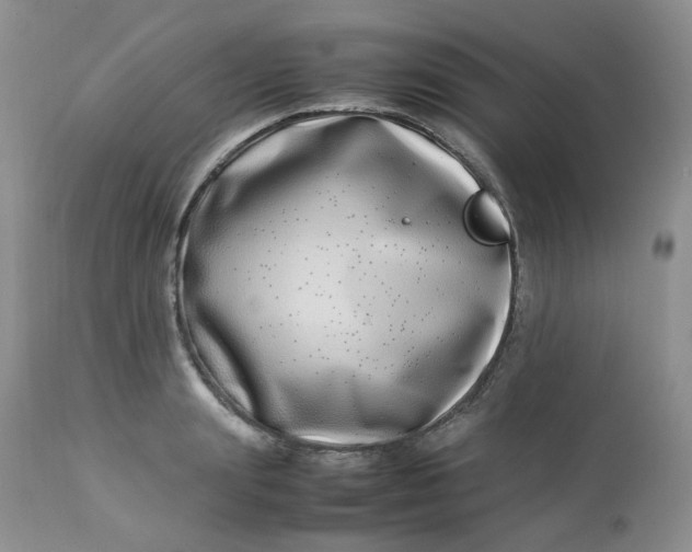 X0000112870847200909111531