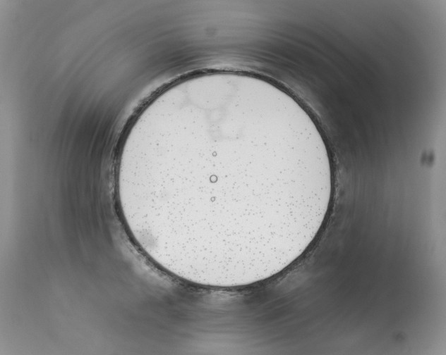 X0000112870848200909111531