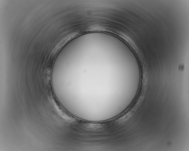 X0000112870849200909111531