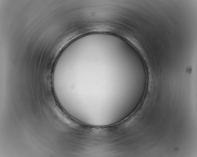 X0000112870850200909111531