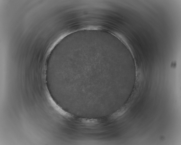 X0000112870851200909111531