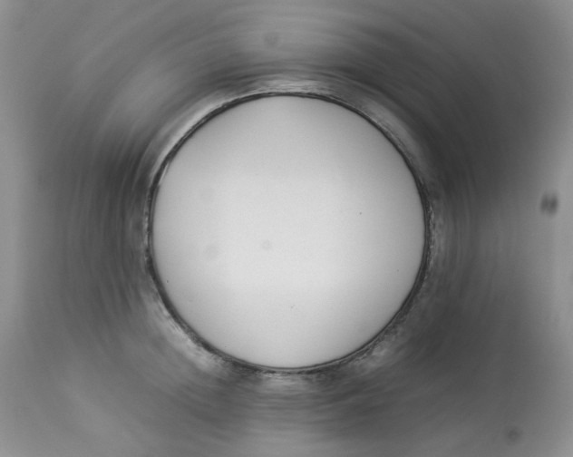 X0000112870852200909111531